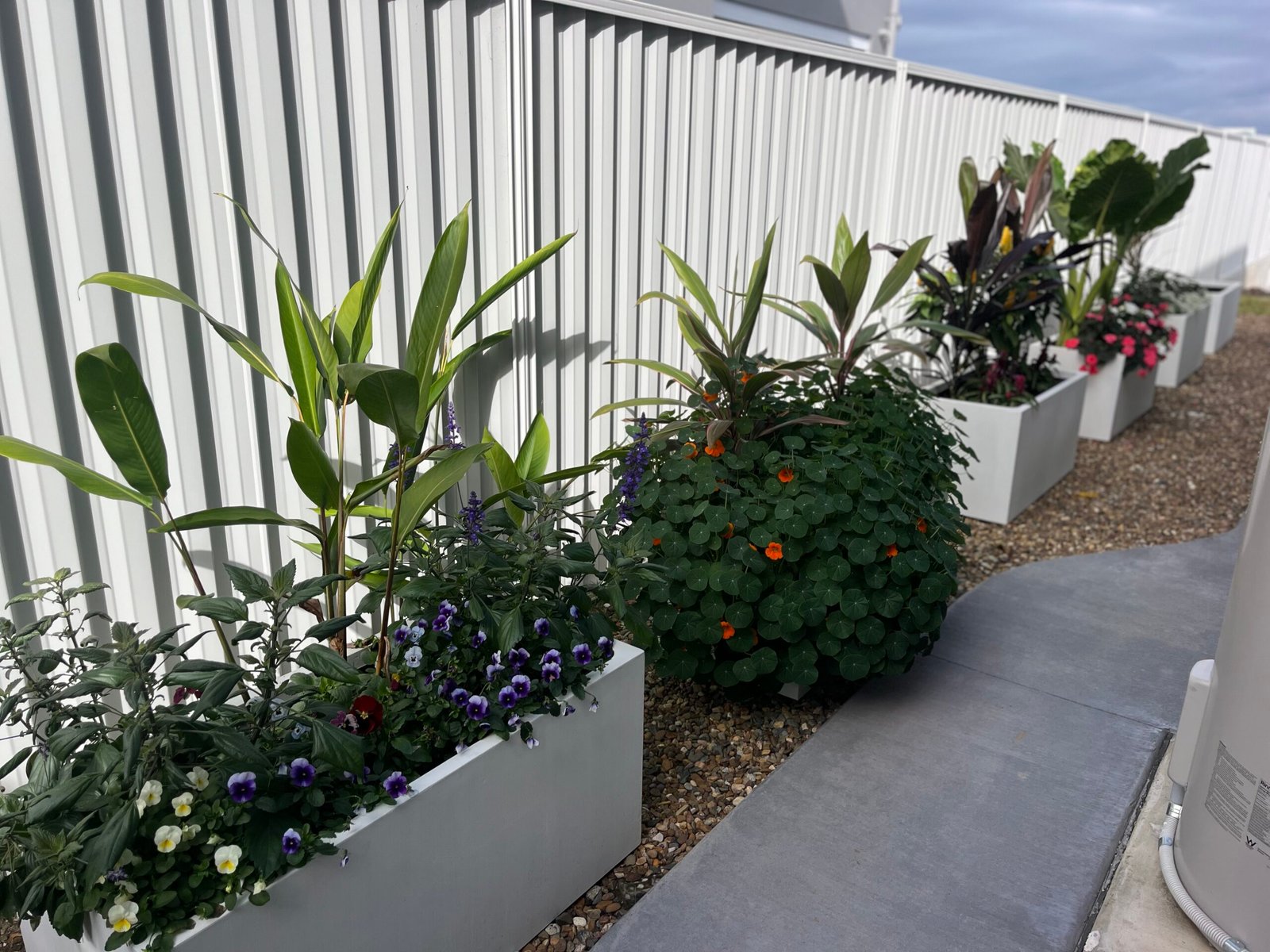 Neatly maintained garden beds beside a Northside Brisbane home